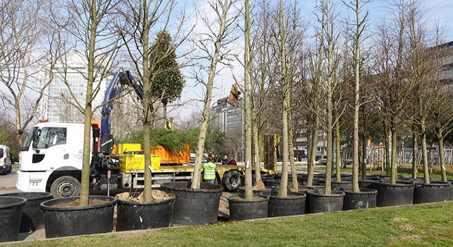 Gezi Parkı na 150 yeni ağaç dikiliyor