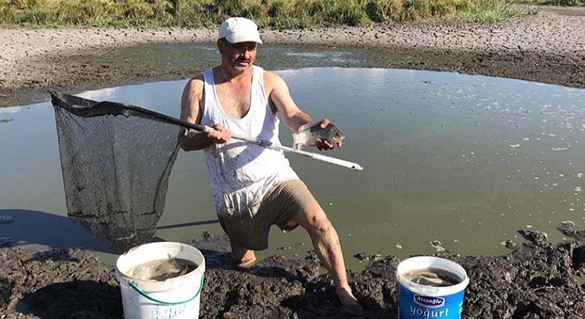 Göletteki su birikintilerinde oksijensiz kalan balıklar için zamanla yarıştı