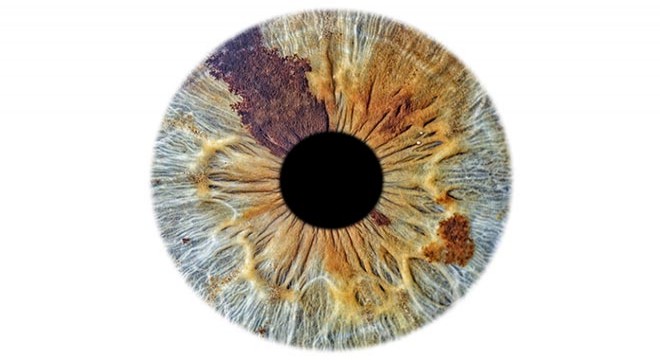 Gözün iris tabakası fotoğrafla sanata dönüşüyor