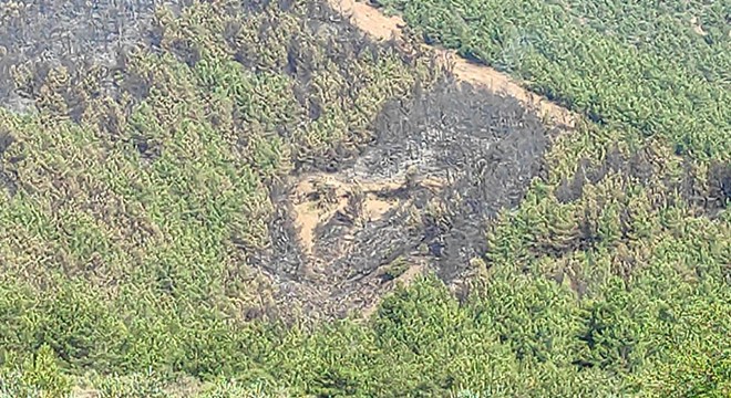Hatay da 3 hektar orman alanı yandı