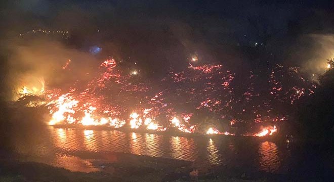 Hatay da Asi Nehri kıyısında otluk yangını