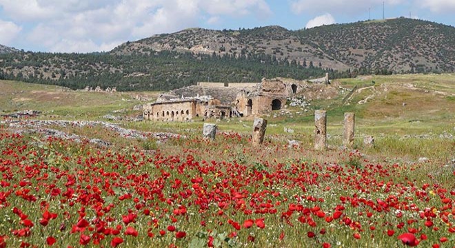 Hierapolis Antik Kenti nde çiçeklerle görsel şölen