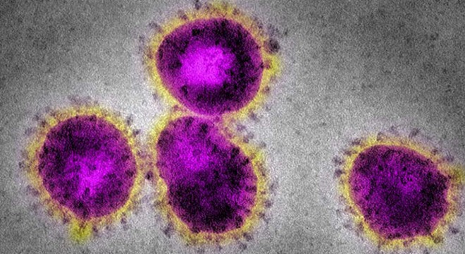 Hindistan’da koronavirüs trajedisi