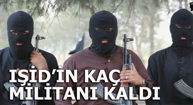 IŞİD in kaç militanı kaldı