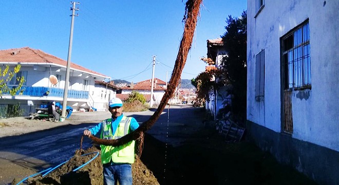 İçme suyu şebekesinden 6 metrelik ağaç kökü çıktı