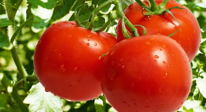 İhracatın ana ürünü mermer ve domates