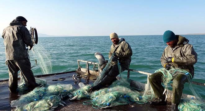 İnci kefalinde av yasağı sona erdi, balıkçılar ağlarını göle bıraktı