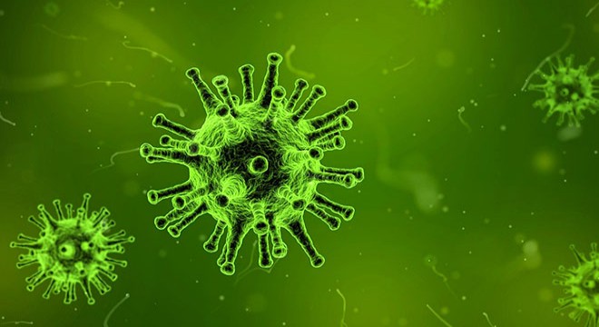 İngiltere den koronavirüs açıklaması
