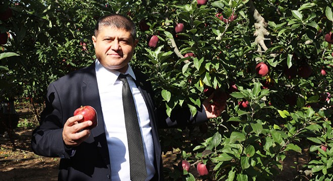 Isparta elmasında 1 milyon 250 bin ton rekolte beklentisi
