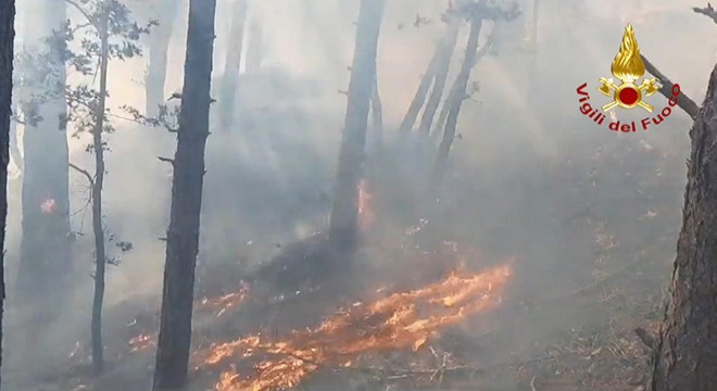 İtalya’nın kuzeyinde orman yangını