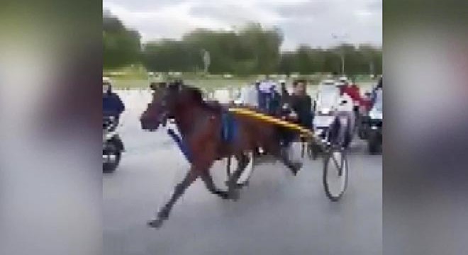 İtalya sokaklarında yasa dışı at yarışı