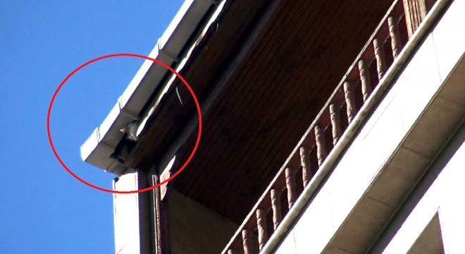 İtfaiye seferber oldu, çatıdaki kedi alınamadı