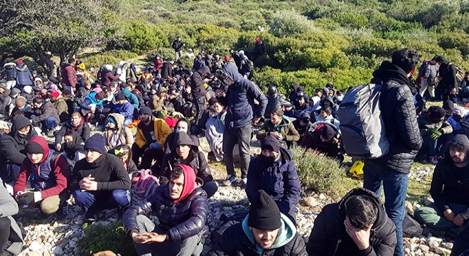 İzmir de 343 kaçak göçmen ve 6 organizatör yakalandı