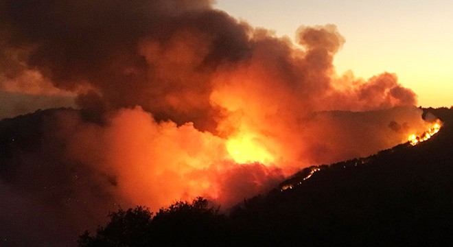 İzmir deki orman yangınını söndürme çalışmaları sürüyor