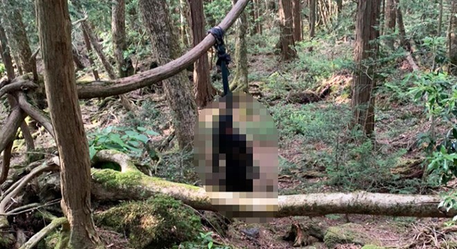 Japonya’daki intihar ormanında intihar vakası