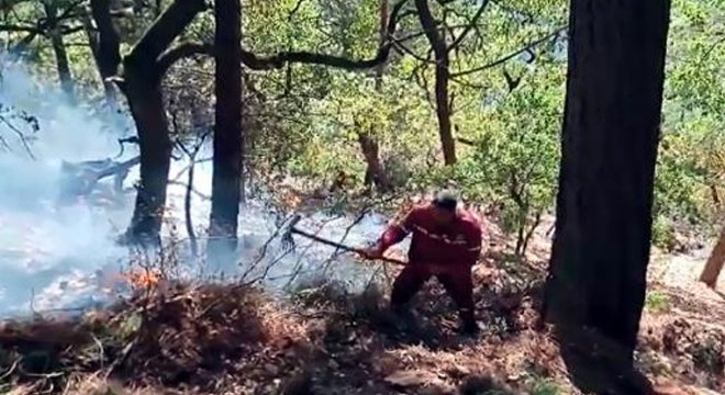 Kahramanmaraş ta 1 hektar ormanlık alan yandı