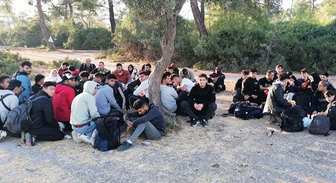 Kamyonda 64 kaçak göçmen yakalandı