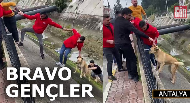 Kanala düşen köpek imece usulü kurtarıldı