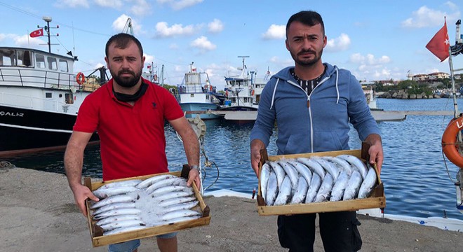 Kandıra’da balıkçı barınağında satış yasaklandı
