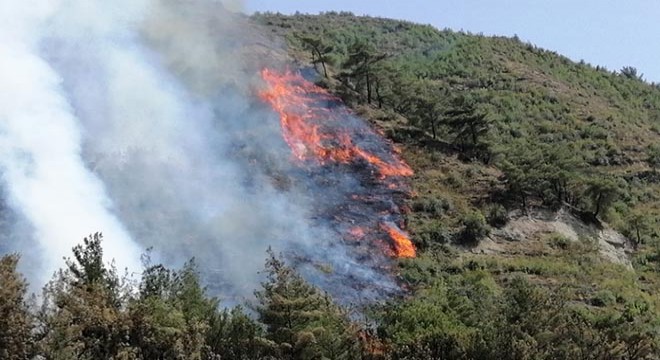 Karabük’te aynı köyde 2 gün sonra yeniden orman yangını
