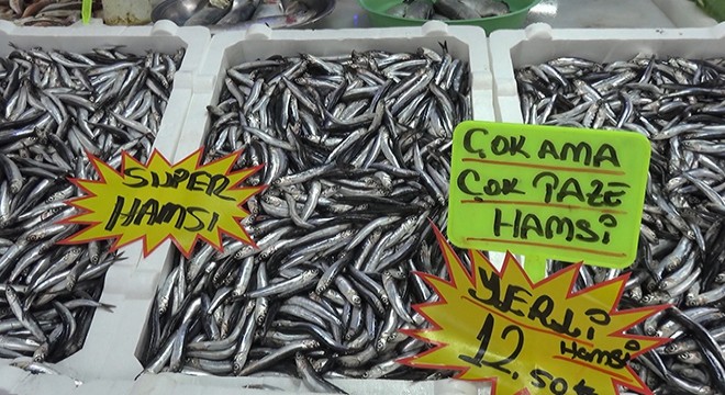 Karadeniz de balık azlığı, fiyatlara yansıyor