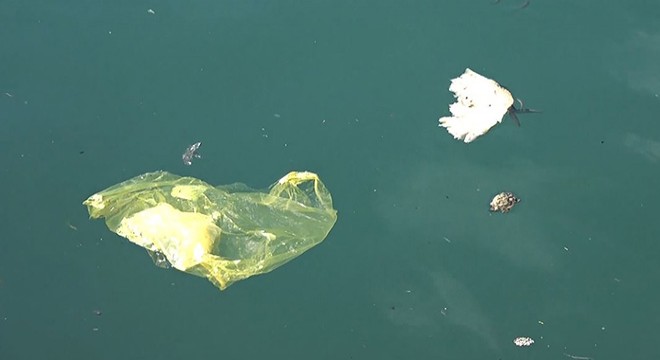 Karadeniz de  deniz çöpü ve mikroplastik  tehlikesi