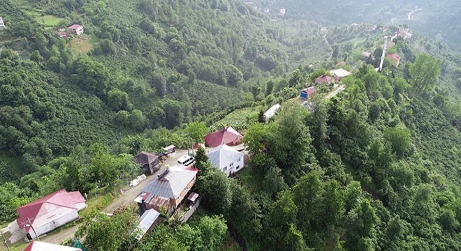 Karadeniz in tepedeki sıralı evleri ilgi çekiyor