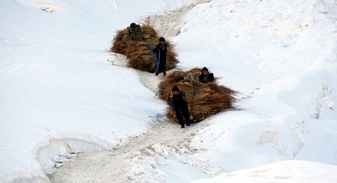 Karlı tepelerden kızaklarla hayvanları için ot indiriyorlar