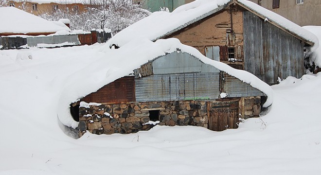 Karlıova da evler kara gömüldü