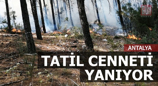 Antalya nın tatil cennetinde orman yangını