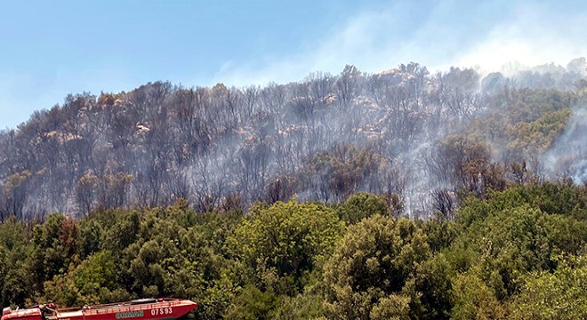 Kaş ta orman yangını; 3 hektar alan zarar gördü