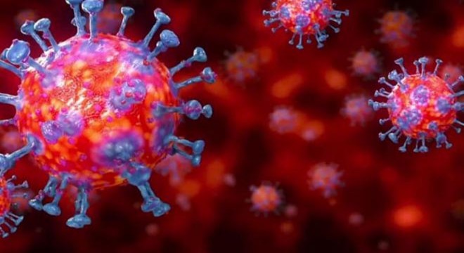 Kastamonu da 51 kişiye  koronavirüs  cezası