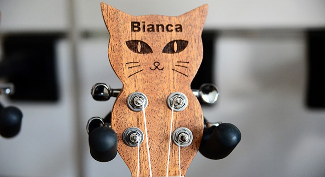 Kaybolan kedisinin anısına özel tasarımlı ukulele üretti