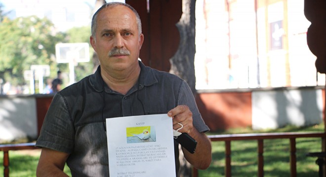 Kaybolan papağanı  Cımbız ı bulana 1000 lira verecek