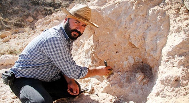 Kayseri de 8 milyon yıllık yeni fosiller bulundu