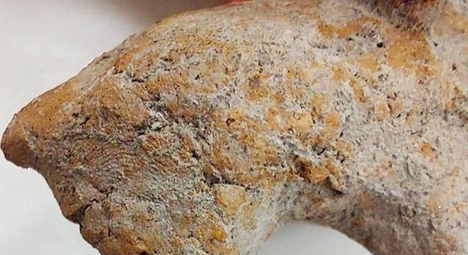 Kazıda bulunan hayvan figüründe 9 bin yıllık parmak izi