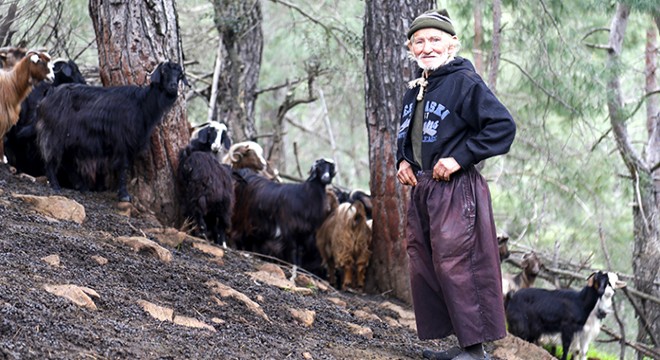 Keçileri çalınınca insanlara küstü, 17 yıldır dağda yaşıyor
