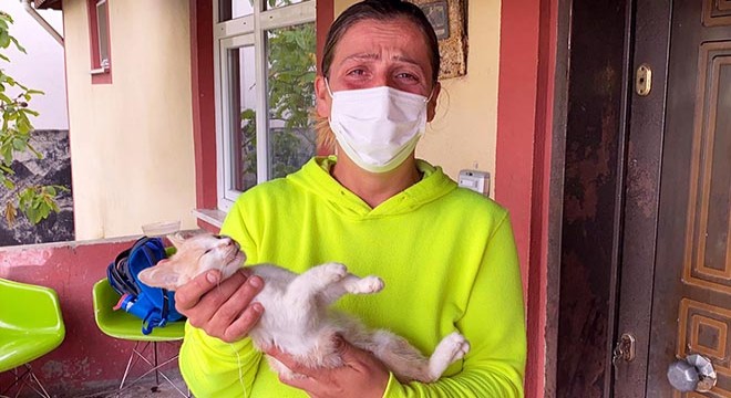 Kedisini boğazından iple asılarak öldürülmüş olarak buldu