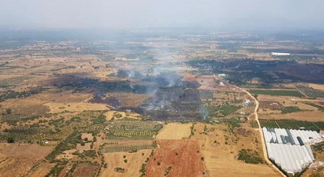 Kırsal alanda yangın