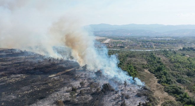 Kızılırmak Deltası ndaki yangın kundaklama sonucu çıkmış