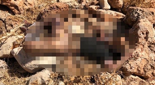 Kızıltepe’de yakılarak öldürülmüş erkek cesedi bulundu