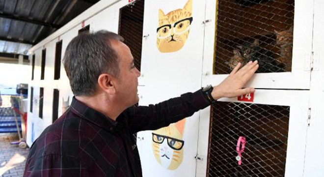 Konyaaltı Belediyesi  kedi barınağı  inşasına başladı