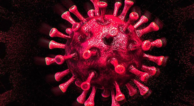 Koronavirüste bağışıklık yüzde 2,5