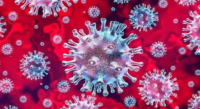 Koronavirüsten ölenlerin sayısı 82 bin 145’e yükseldi