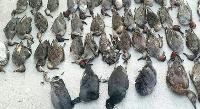 Kota fazlası ördek avına 18 bin lira ceza
