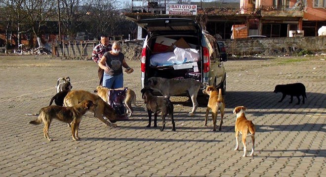 Köy köy dolaşarak sokak hayvanlarına bakıyor