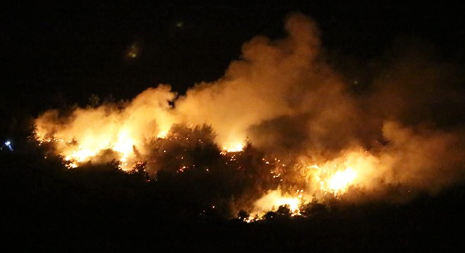 Kozan daki orman yangını söndürüldü
