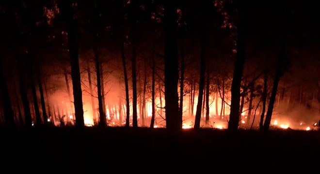 Kozan daki orman yangınında 2 hektar alan zarar gördü