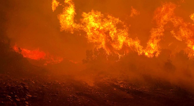 Kula daki yangında 5 hektar alan zarar gördü