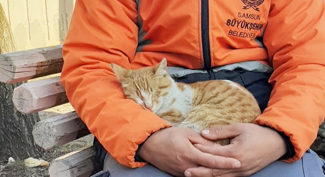 Kurtarma ekipleri, kediye sahip çıktı